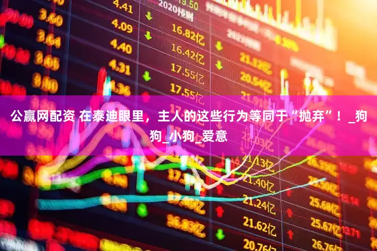 公赢网配资 在泰迪眼里，主人的这些行为等同于“抛弃”！_狗狗_小狗_爱意