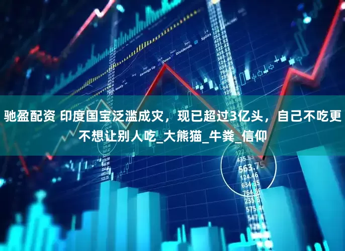 驰盈配资 印度国宝泛滥成灾，现已超过3亿头，自己不吃更不想让别人吃_大熊猫_牛粪_信仰