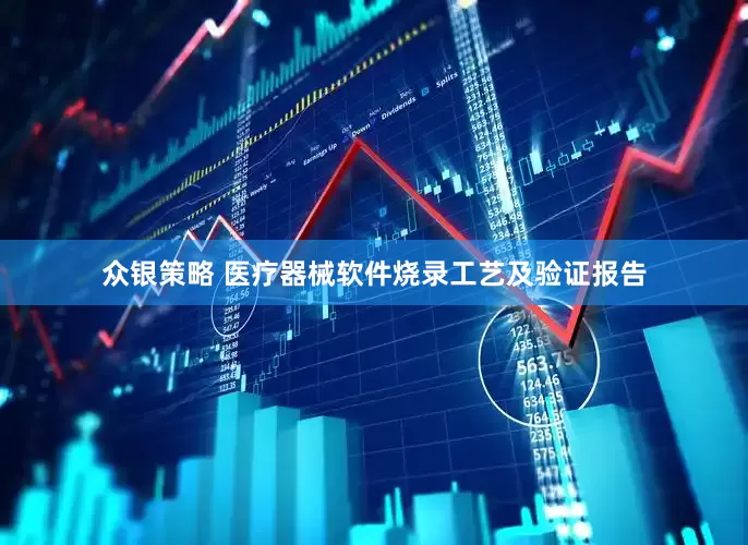 众银策略 医疗器械软件烧录工艺及验证报告