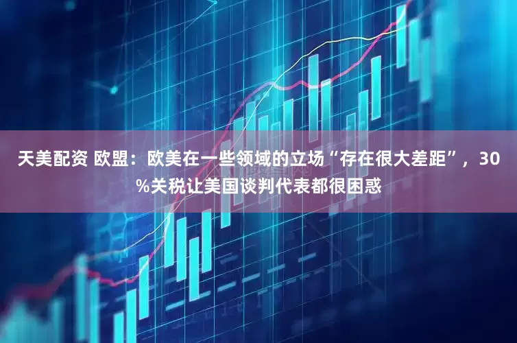 天美配资 欧盟：欧美在一些领域的立场“存在很大差距”，30%关税让美国谈判代表都很困惑